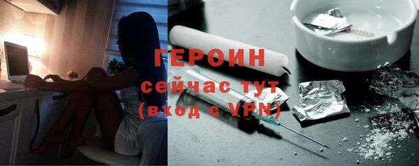 прущие грибы Рославль