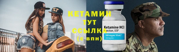 прущие грибы Рославль