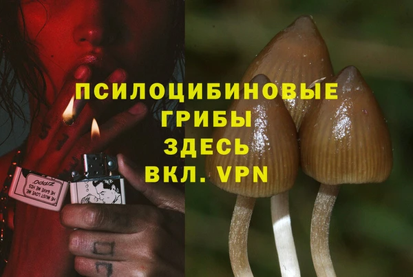 прущая мука Россошь