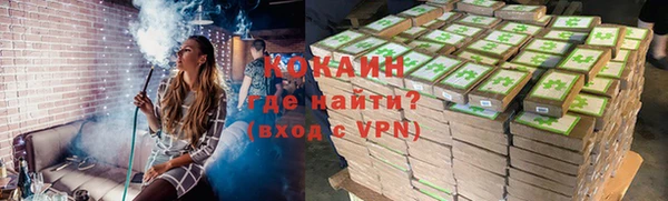 прущие грибы Рославль
