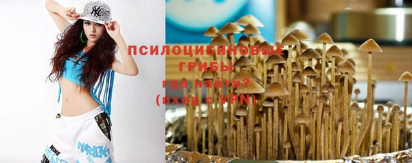 дурь Ростов
