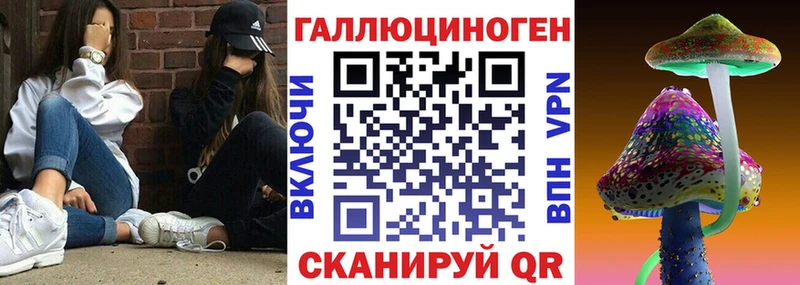 Купить где  Ишим  Галлюциногенные грибы GOLDEN TEACHER 